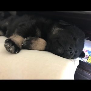 CLOSING PERMANENTLY TODAY